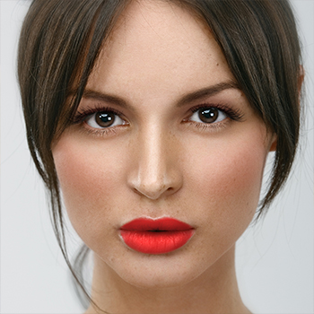 portrait bundle